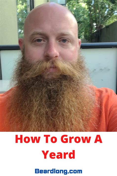 go yeard|how to grow the yeard.